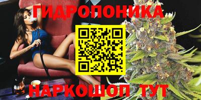 гидропоника Новокубанск
