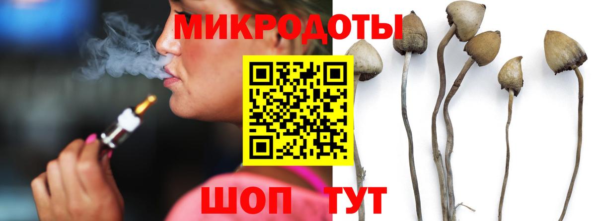 Псилоцибиновые грибы Psilocybe  Вход с VPN  Спасск-Дальний 